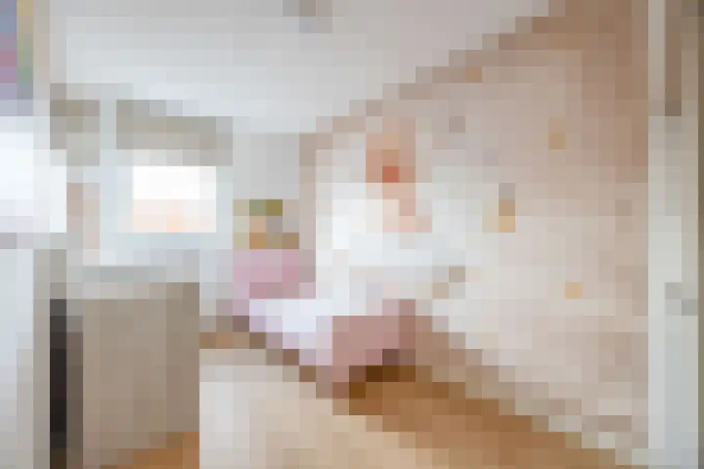 Loodgieter 13 Assendelft thumbnail 25