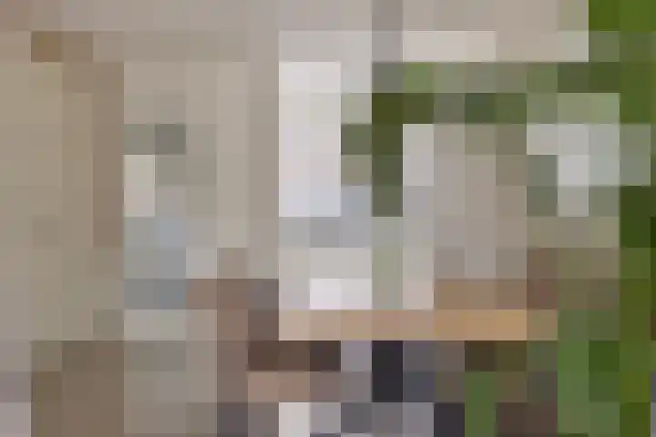 Loodgieter 5 Assendelft thumbnail 12
