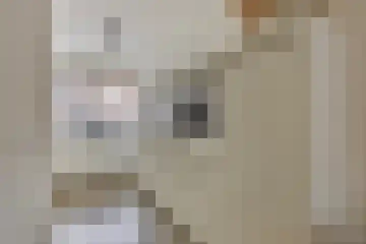 Loodgieter 5 Assendelft thumbnail 14