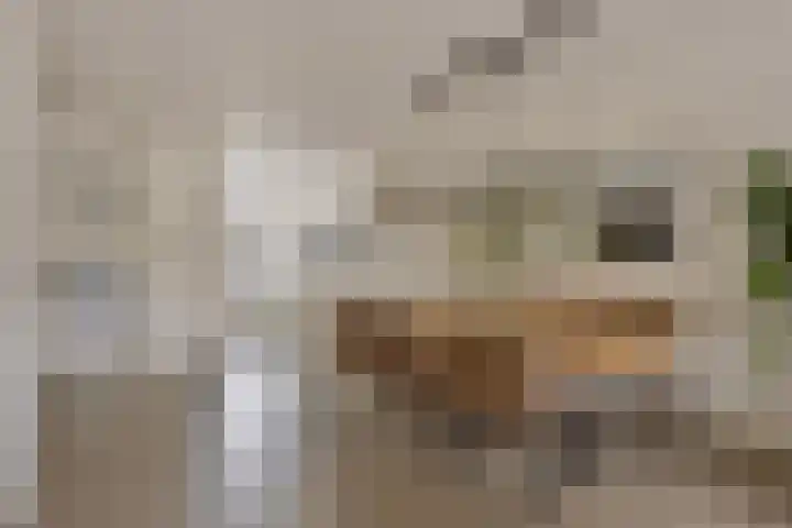 Loodgieter 5 Assendelft foto 3