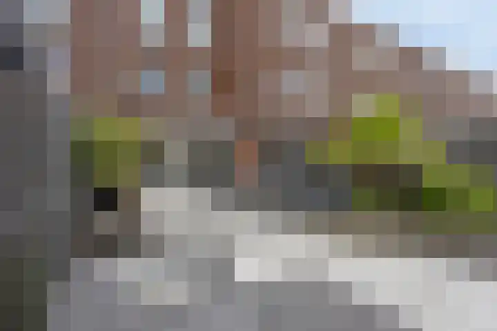 Loodgieter 5 Assendelft thumbnail 36