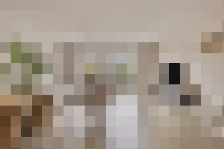 Loodgieter 5 Assendelft thumbnail 5