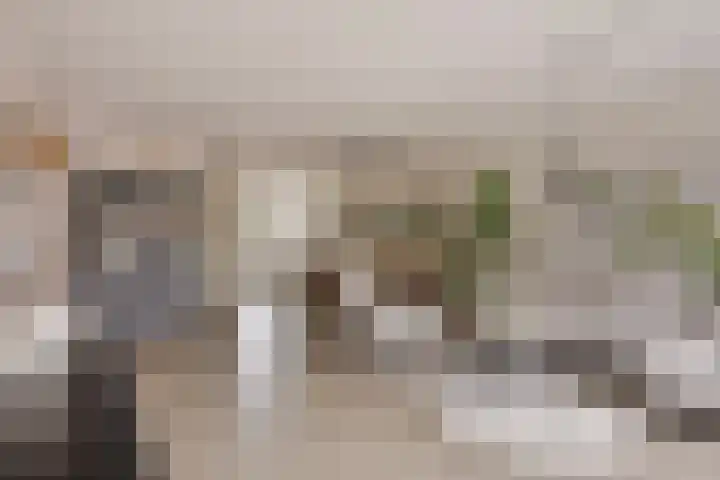 Loodgieter 5 Assendelft thumbnail 6