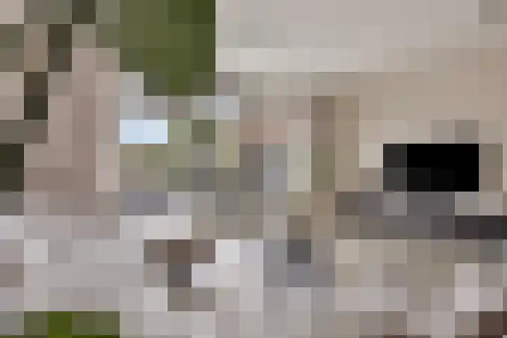 Loodgieter 5 Assendelft thumbnail 8