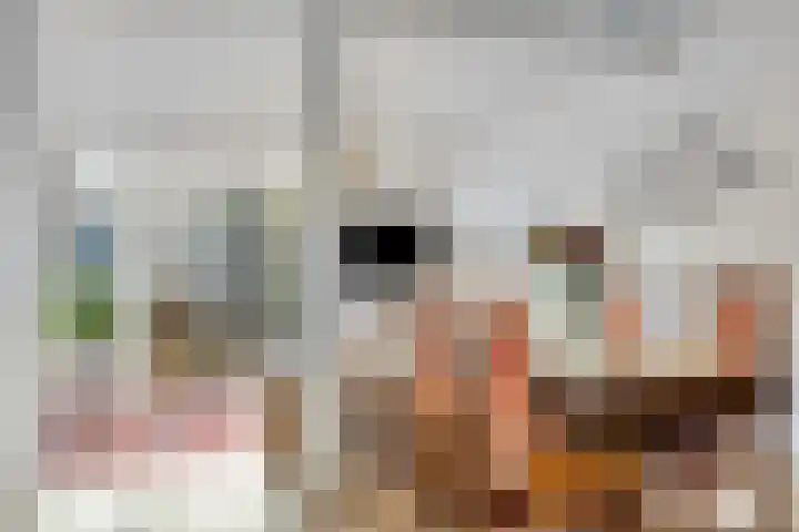Loodglans 4 Heerhugowaard thumbnail 11