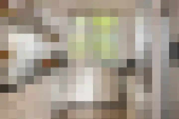 Loodglans 4 Heerhugowaard thumbnail 13