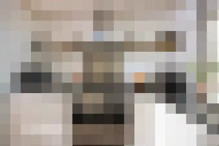 Loodglans 4 Heerhugowaard thumbnail 14