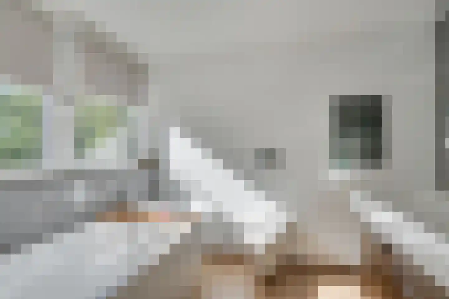 Loodglans 4 Heerhugowaard thumbnail 36
