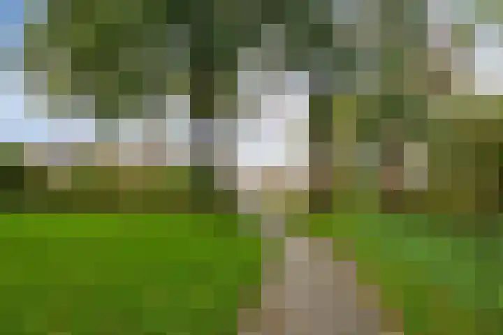 Loodglans 4 Heerhugowaard thumbnail 39