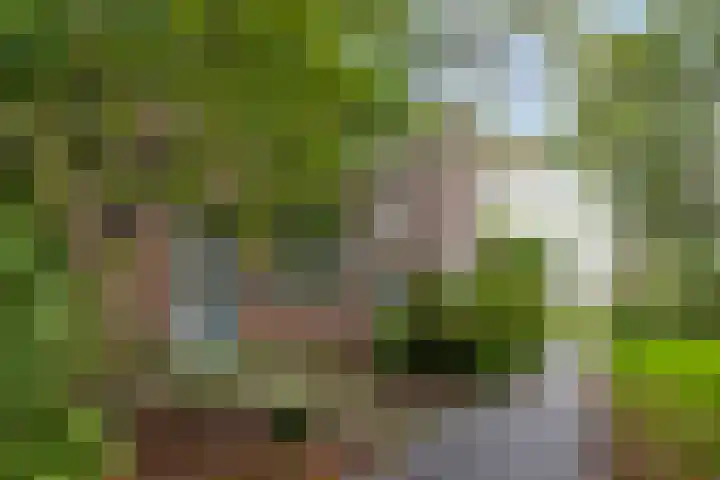 Loodglans 4 Heerhugowaard thumbnail 4