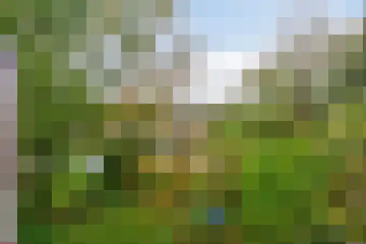 Loodglans 4 Heerhugowaard thumbnail 40