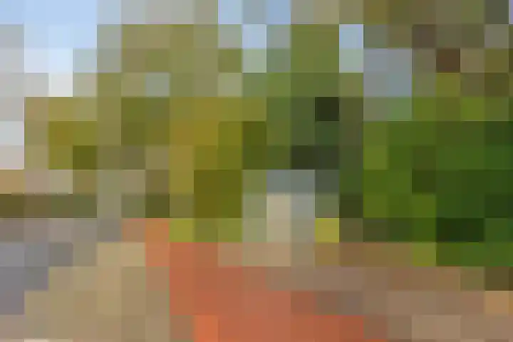 Loodglans 4 Heerhugowaard thumbnail 41