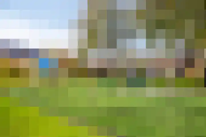Loodglans 4 Heerhugowaard thumbnail 42
