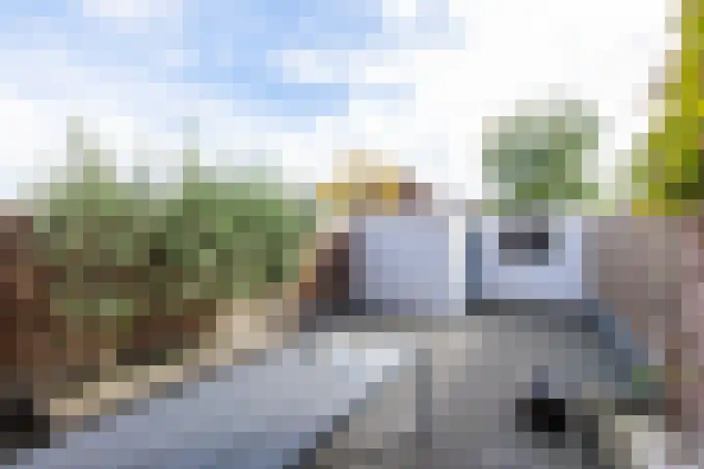 Loodglans 4 Heerhugowaard thumbnail 46