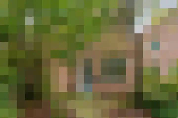 Loodglans 4 Heerhugowaard thumbnail 5