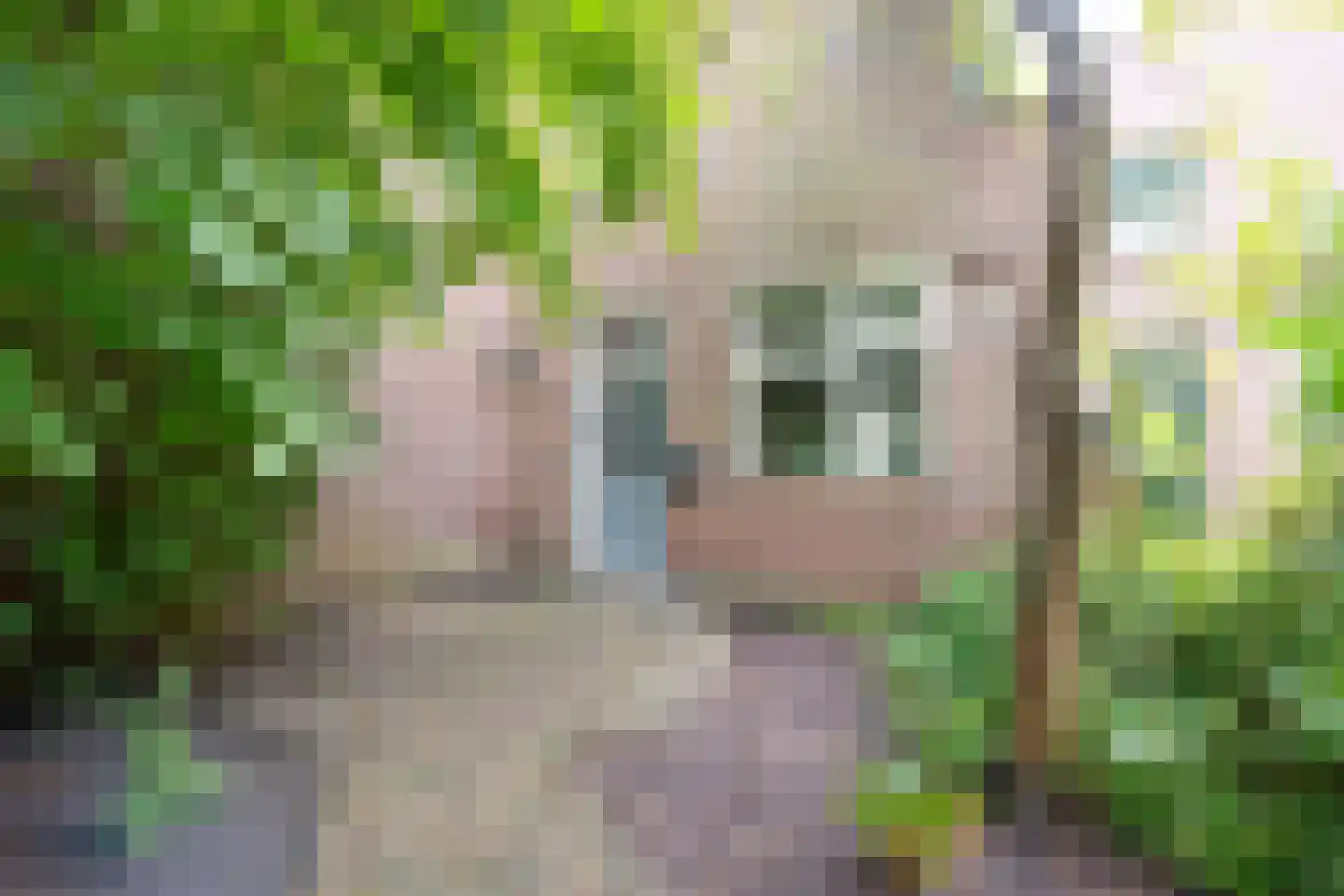 Loodglans 4 Heerhugowaard thumbnail 5