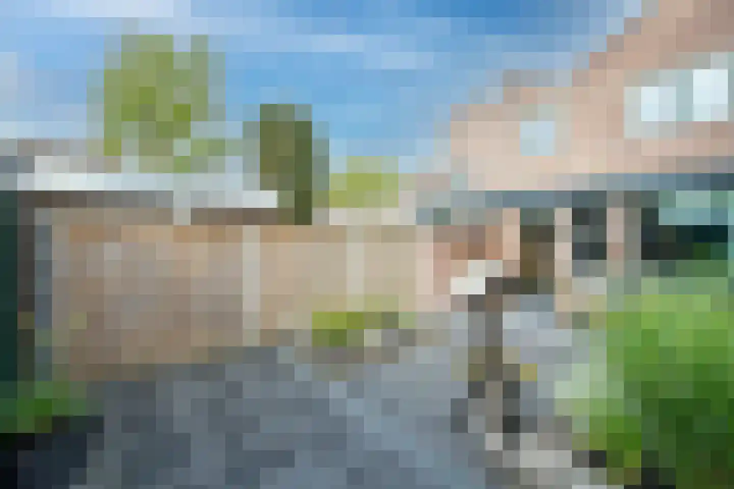 Loodglans 40 Heerhugowaard thumbnail 37