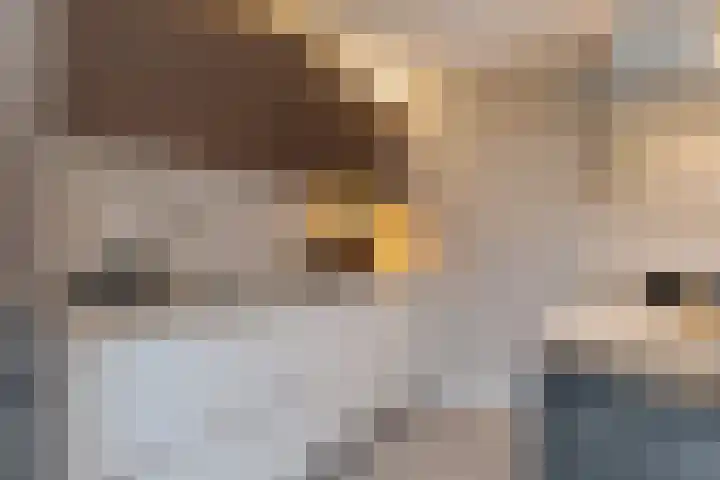 Loodiep 21 Zwolle thumbnail 20