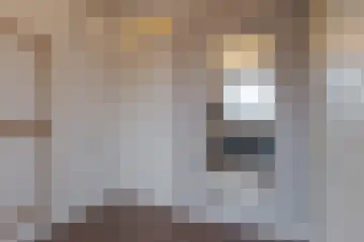Loodiep 21 Zwolle thumbnail 40