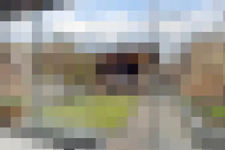 Loodiep 21 Zwolle thumbnail 48