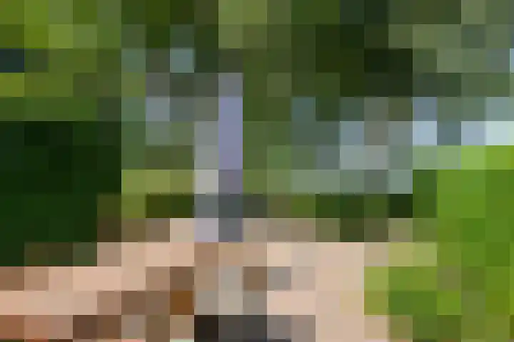 Loodiep 47 Zwolle thumbnail 21