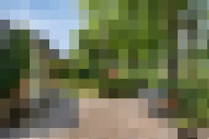 Loodiep 47 Zwolle thumbnail 22