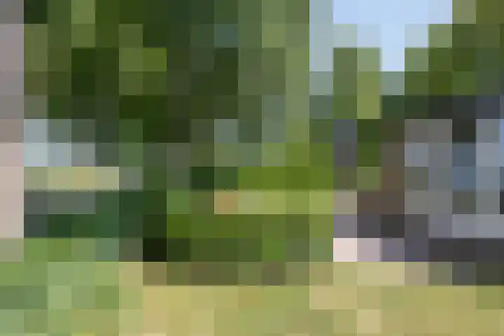 Loodiep 47 Zwolle thumbnail 24