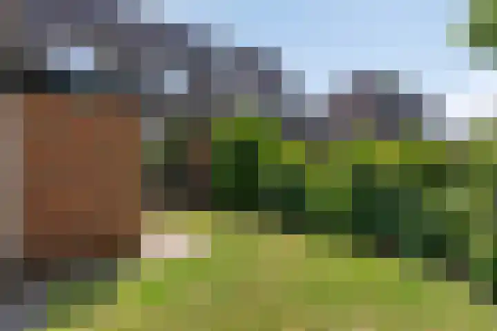 Loodiep 47 Zwolle thumbnail 25