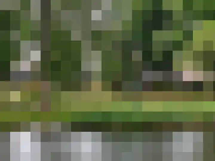 Loodiep 47 Zwolle thumbnail 27