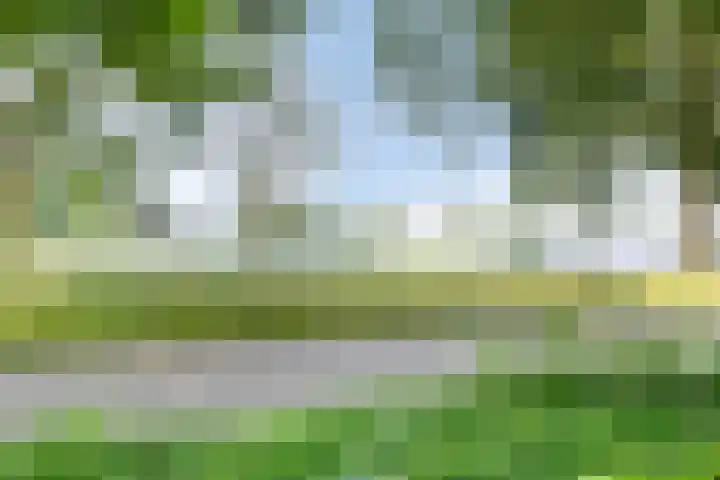 Loodiep 47 Zwolle thumbnail 30