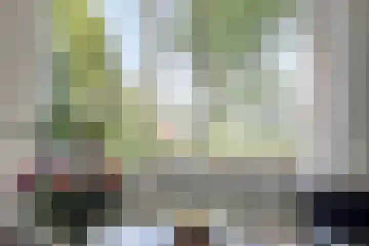 Loodiep 47 Zwolle thumbnail 7
