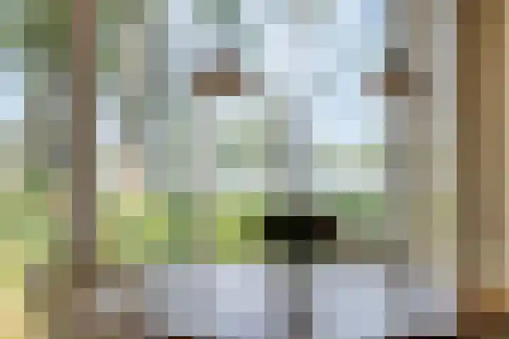 Loodiep 47 Zwolle thumbnail 8