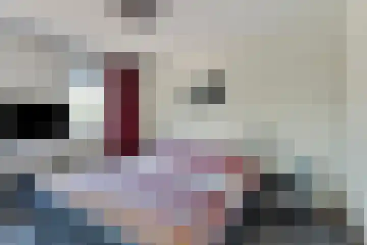 Loodiep 6 Someren thumbnail 18