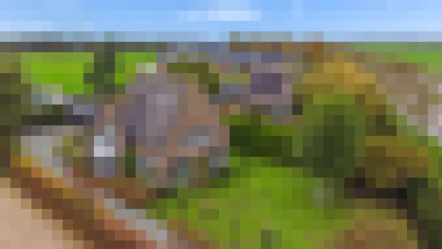 Loodijk 10 's-Graveland thumbnail 22