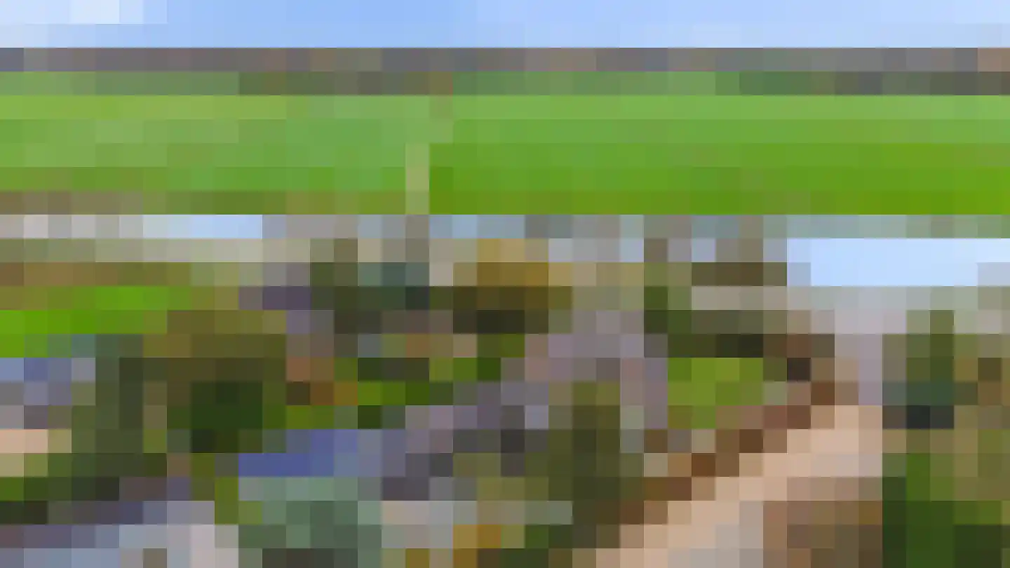 Loodijk 10 's-Graveland thumbnail 23
