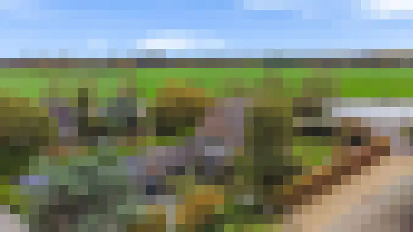 Loodijk 10 's-Graveland thumbnail 24