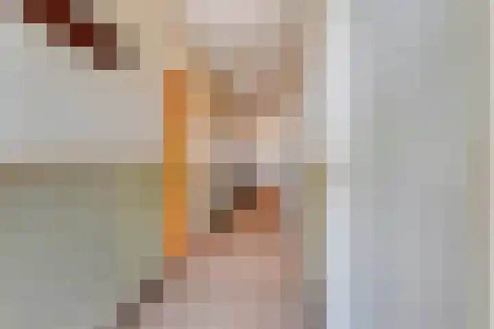 Loodijk 10 Saasveld thumbnail 11
