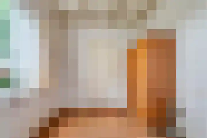 Loodijk 10 Saasveld thumbnail 12