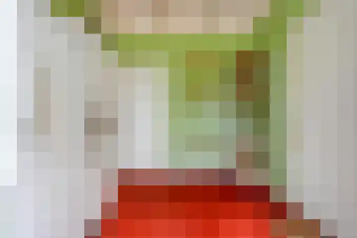 Loodijk 10 Saasveld thumbnail 14