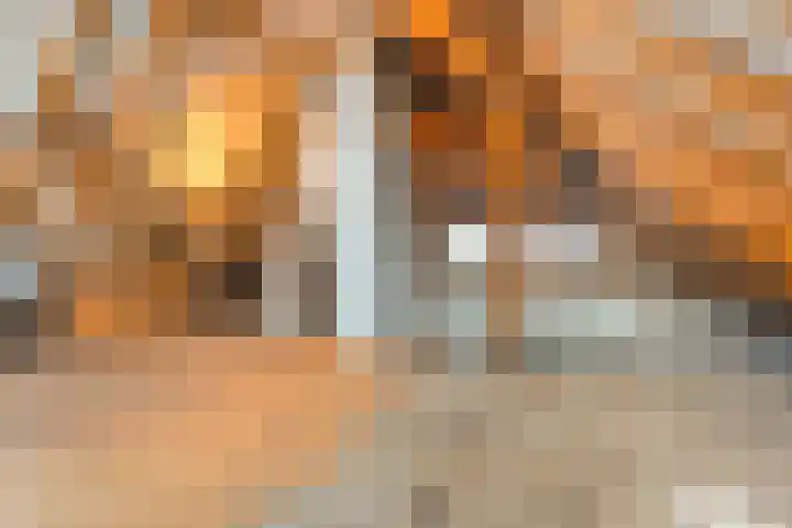 Loodijk 10 Saasveld thumbnail 15