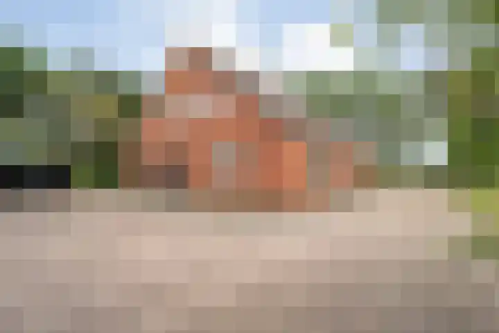 Loodijk 10 Saasveld thumbnail 16