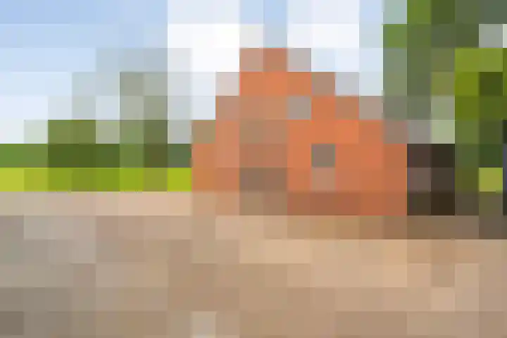 Loodijk 10 Saasveld thumbnail 17