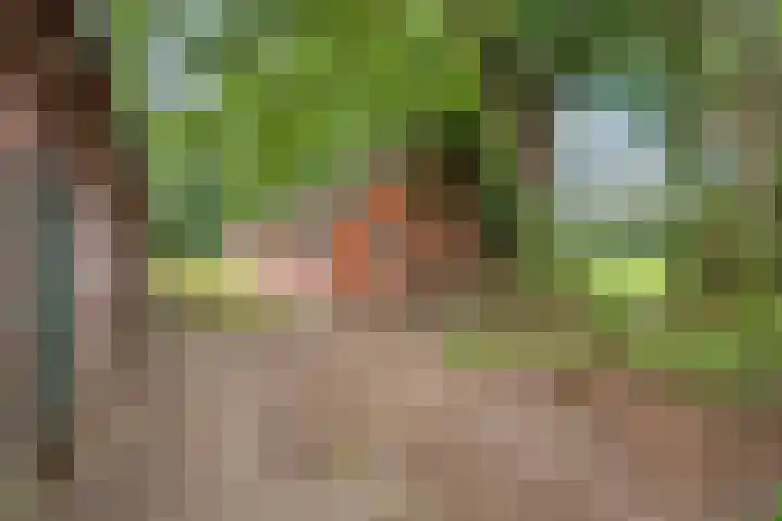 Loodijk 10 Saasveld thumbnail 19