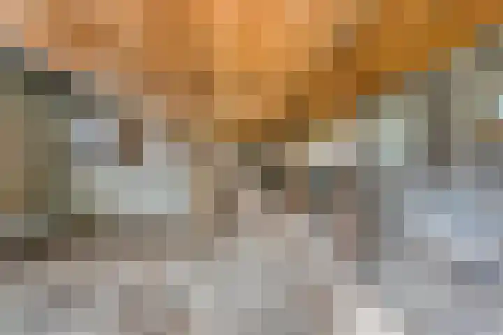 Loodijk 10 Saasveld thumbnail 20