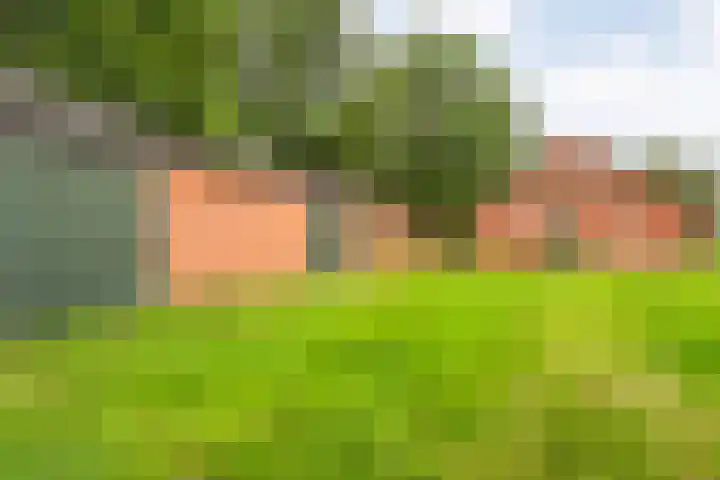 Loodijk 10 Saasveld thumbnail 21