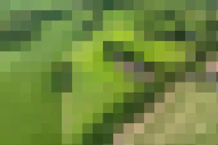 Loodijk 10 Saasveld thumbnail 22