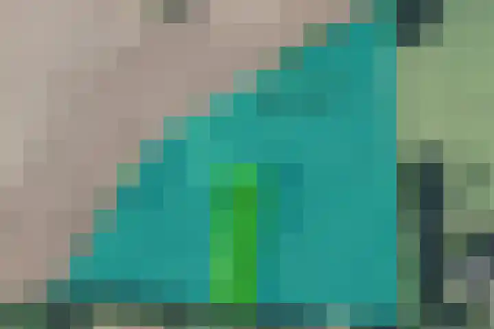 Loodijk 10 Saasveld thumbnail 23