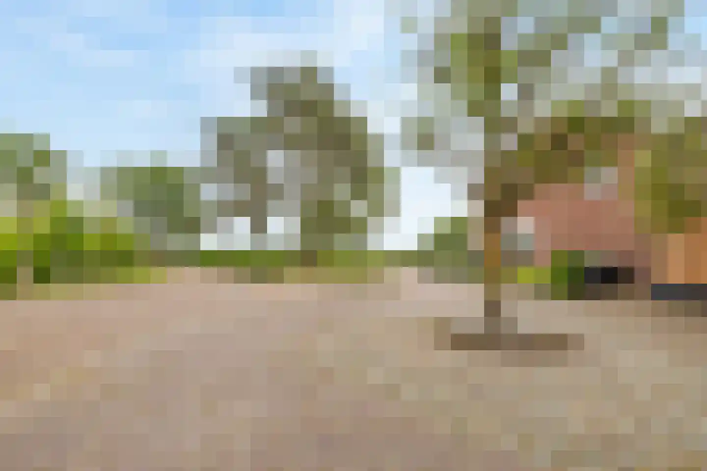 Loodijk 23 's-Graveland thumbnail 48
