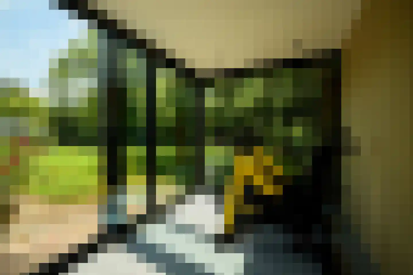 Loodijk 28 Ankeveen thumbnail 26