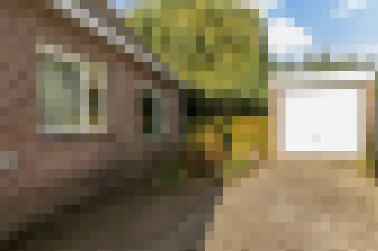 Loodreep 2 Hardinxveld-Giessendam thumbnail 14